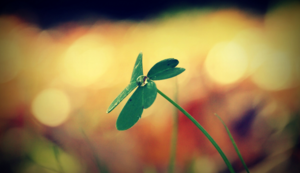 摩纳哥主场迎战南特全取三分