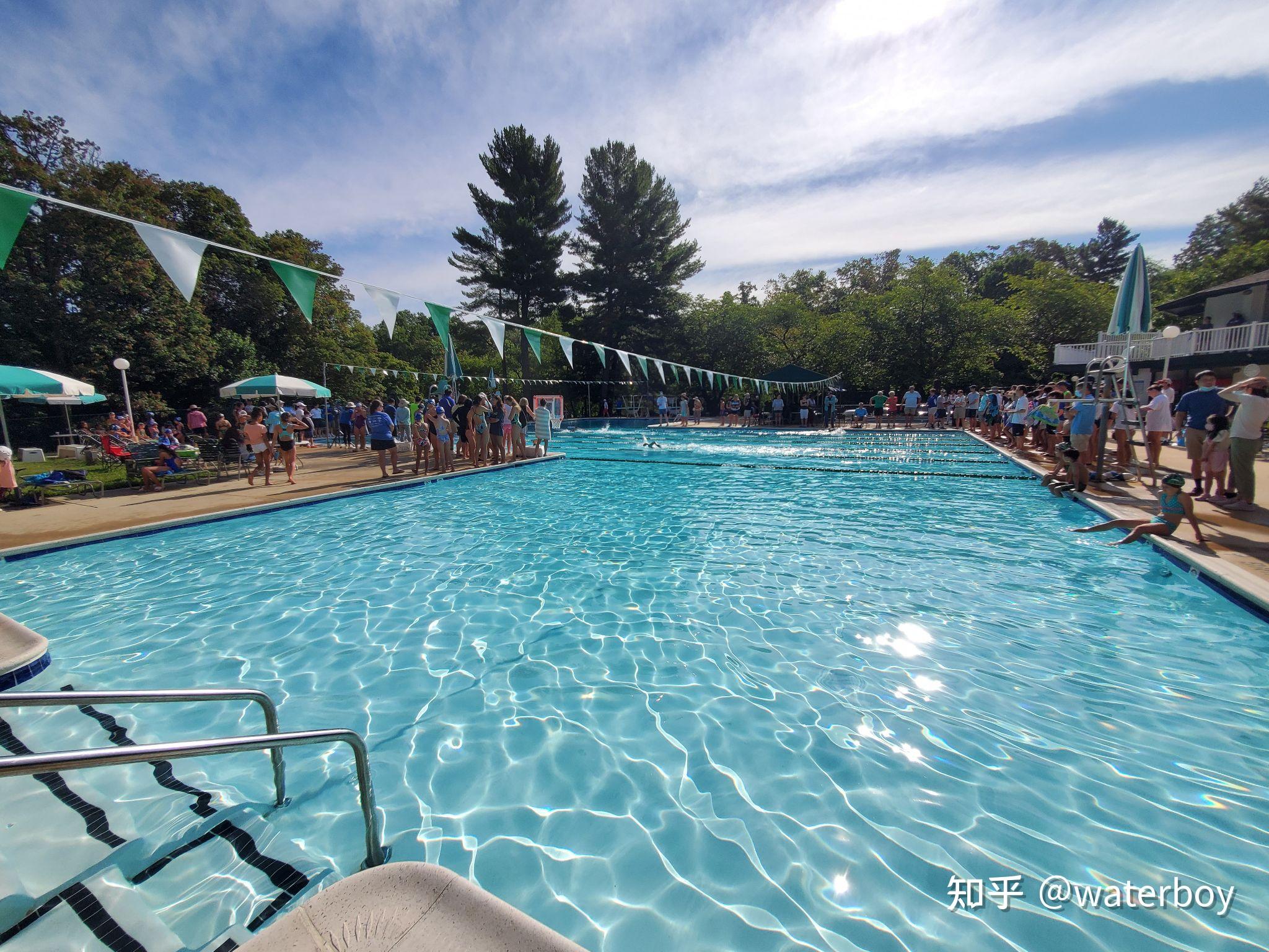 游泳选手实力悬殊，谁能逆袭登顶？的简单介绍